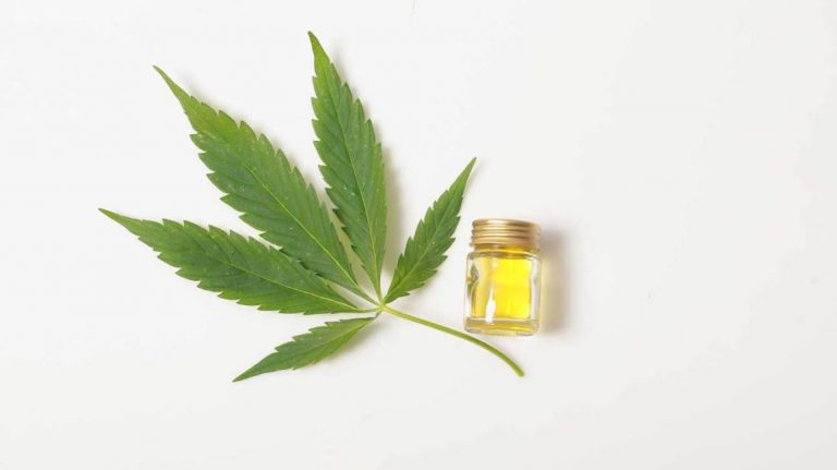 What Does CBD Oil Do: Science and the Body